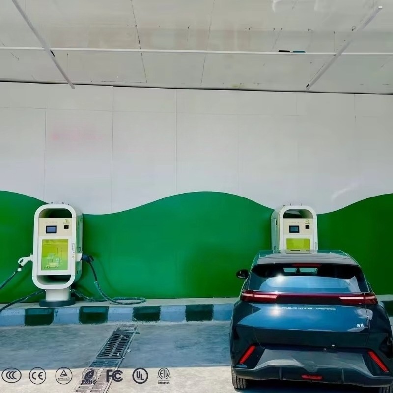 Зарядная станция для электромо – обзор и цена Ev Charging Pile